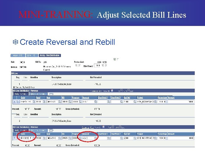 MINI-TRAINING: Adjust Selected Bill Lines T Create Reversal and Rebill 