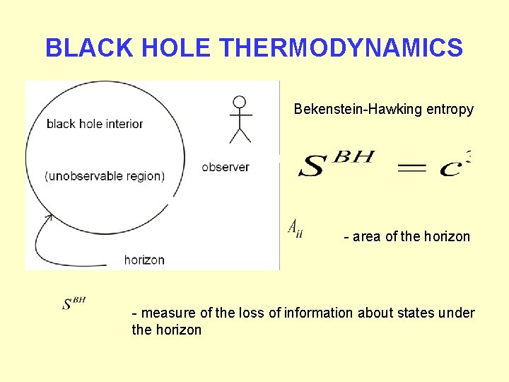 BLACK HOLE THERMODYNAMICS Bekenstein-Hawking entropy - area of the horizon - measure of the