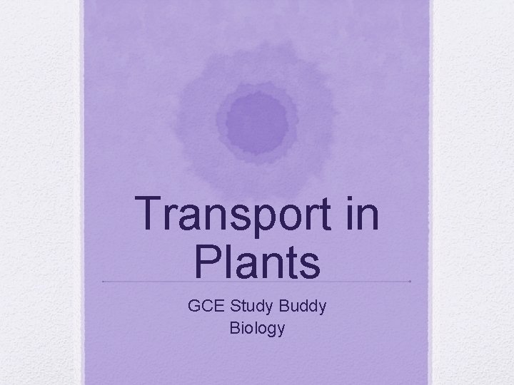 Transport in Plants GCE Study Buddy Biology 