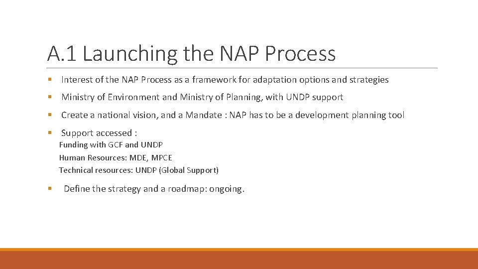 A. 1 Launching the NAP Process § Interest of the NAP Process as a