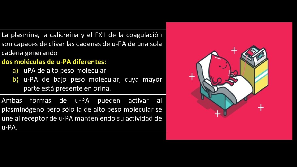 La plasmina, la calicreína y el FXII de la coagulación son capaces de clivar