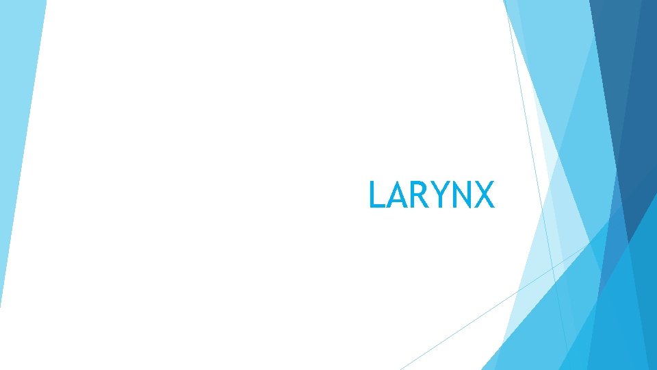 LARYNX 