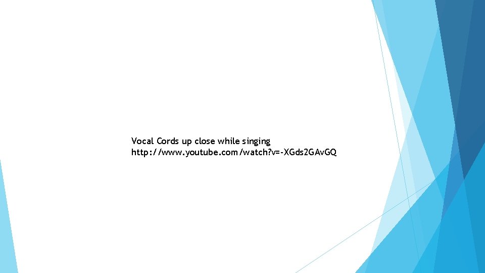 Vocal Cords up close while singing http: //www. youtube. com/watch? v=-XGds 2 GAv. GQ