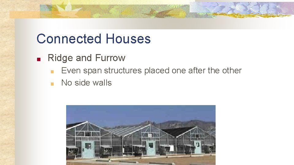 Connected Houses ■ Ridge and Furrow ■ ■ Even span structures placed one after