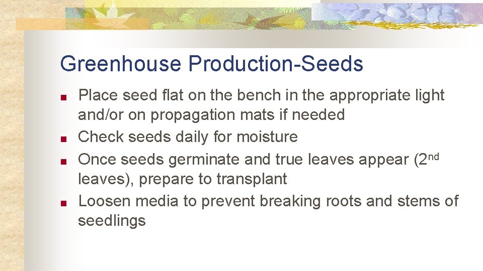 Greenhouse Production-Seeds ■ ■ Place seed flat on the bench in the appropriate light