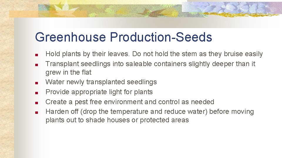 Greenhouse Production-Seeds ■ ■ ■ Hold plants by their leaves. Do not hold the