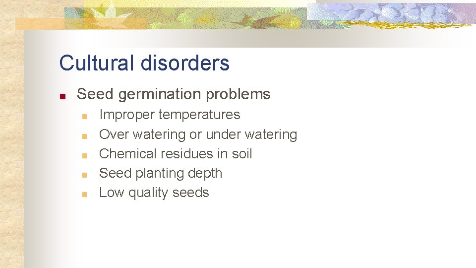 Cultural disorders ■ Seed germination problems ■ ■ ■ Improper temperatures Over watering or