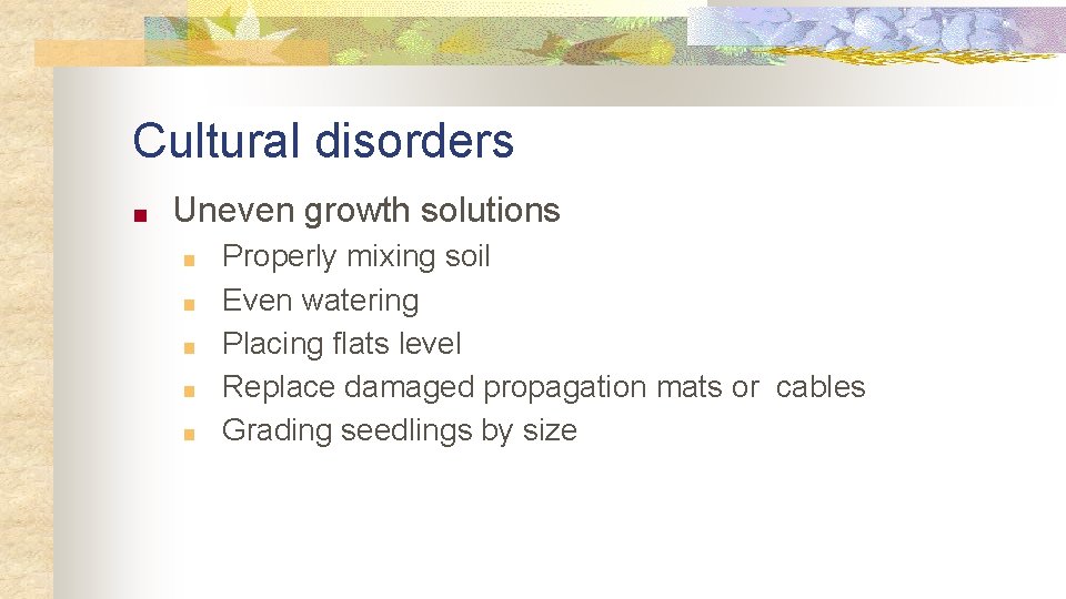 Cultural disorders ■ Uneven growth solutions ■ ■ ■ Properly mixing soil Even watering