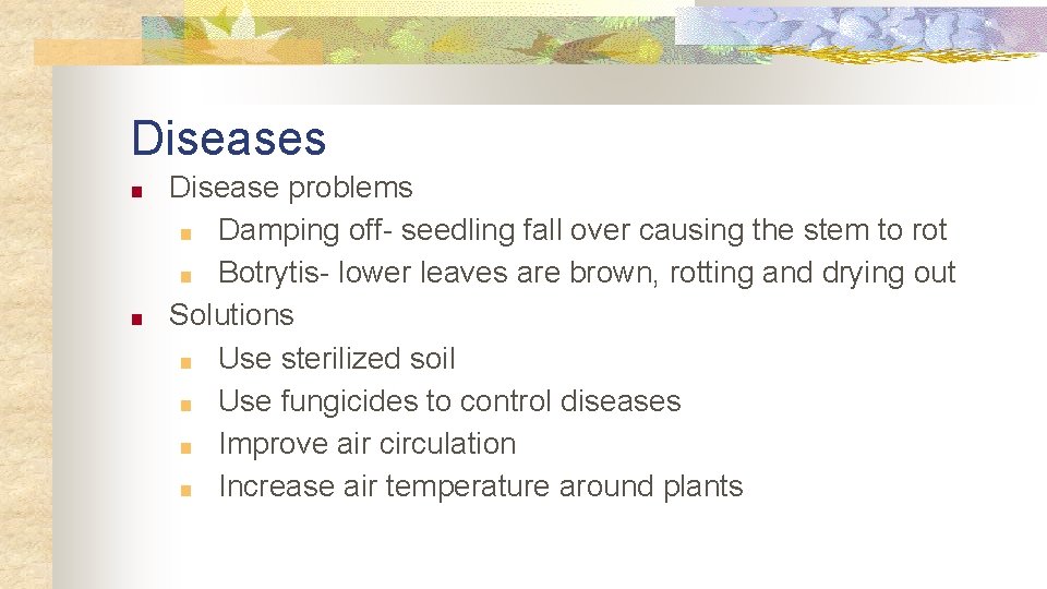 Diseases ■ ■ Disease problems ■ Damping off- seedling fall over causing the stem