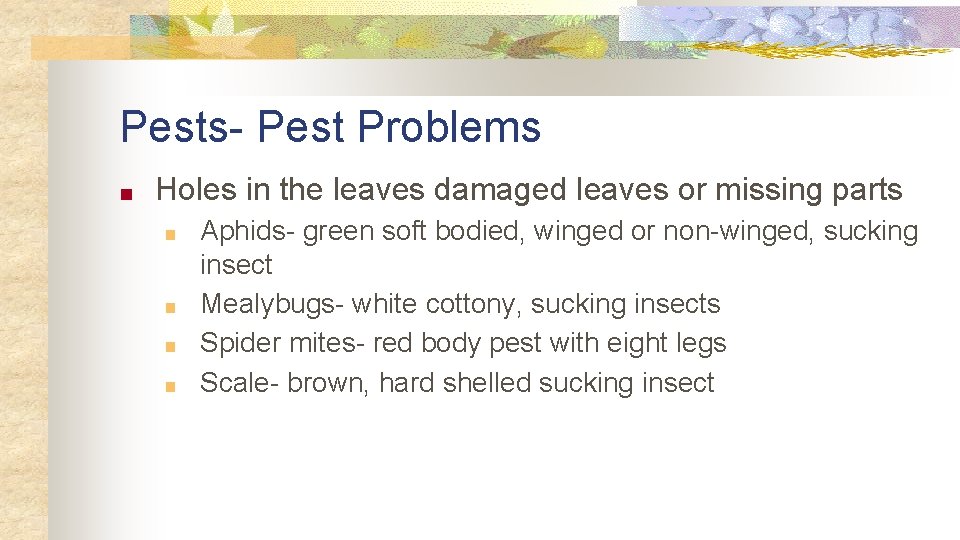 Pests- Pest Problems ■ Holes in the leaves damaged leaves or missing parts ■