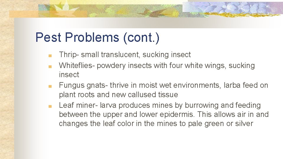 Pest Problems (cont. ) ■ ■ Thrip- small translucent, sucking insect Whiteflies- powdery insects