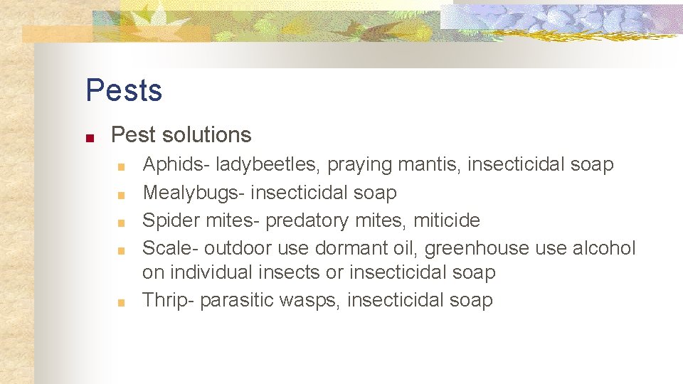 Pests ■ Pest solutions ■ ■ ■ Aphids- ladybeetles, praying mantis, insecticidal soap Mealybugs-