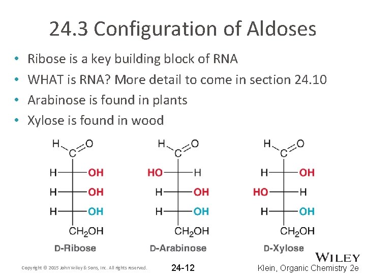 24. 3 Configuration of Aldoses • • Ribose is a key building block of