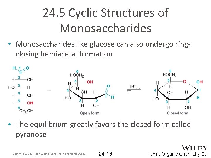 24. 5 Cyclic Structures of Monosaccharides • Monosaccharides like glucose can also undergo ringclosing