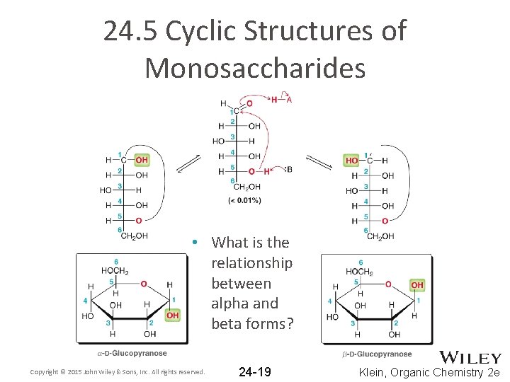 24. 5 Cyclic Structures of Monosaccharides • What is the relationship between alpha and