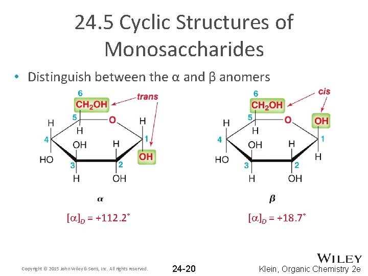 24. 5 Cyclic Structures of Monosaccharides • Distinguish between the α and β anomers