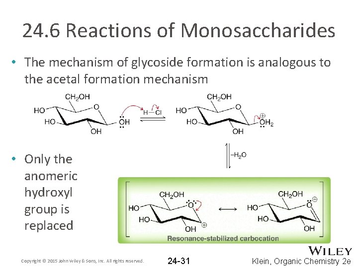 24. 6 Reactions of Monosaccharides • The mechanism of glycoside formation is analogous to