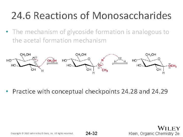 24. 6 Reactions of Monosaccharides • The mechanism of glycoside formation is analogous to