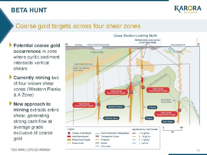 BETA HUNT Coarse gold targets across four shear zones Cross Section Looking North Potential