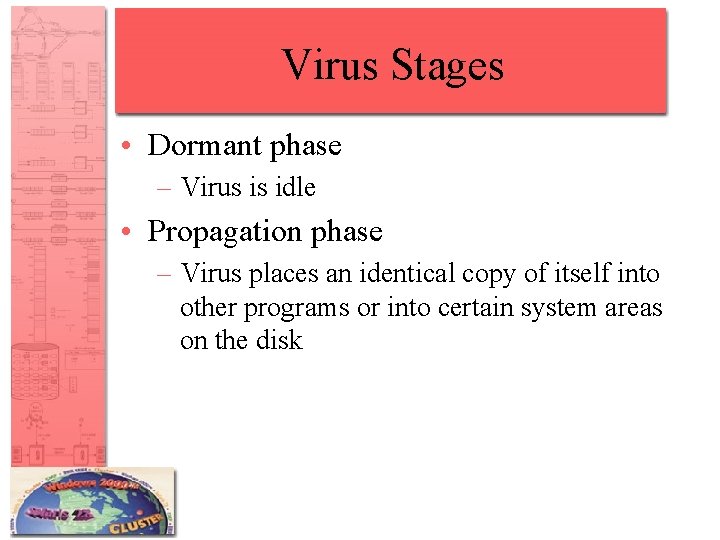 Virus Stages • Dormant phase – Virus is idle • Propagation phase – Virus