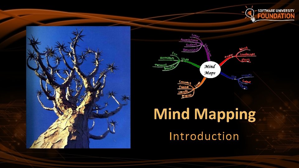 Mind Mapping Introduction 