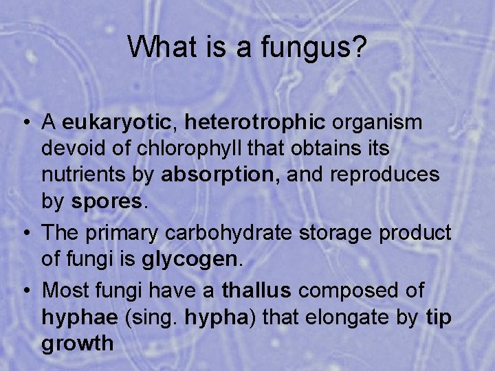 What is a fungus? • A eukaryotic, heterotrophic organism devoid of chlorophyll that obtains