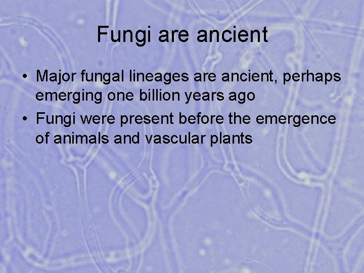 Fungi are ancient • Major fungal lineages are ancient, perhaps emerging one billion years