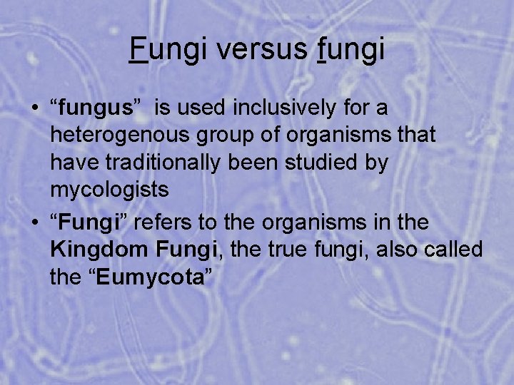 Fungi versus fungi • “fungus” is used inclusively for a heterogenous group of organisms