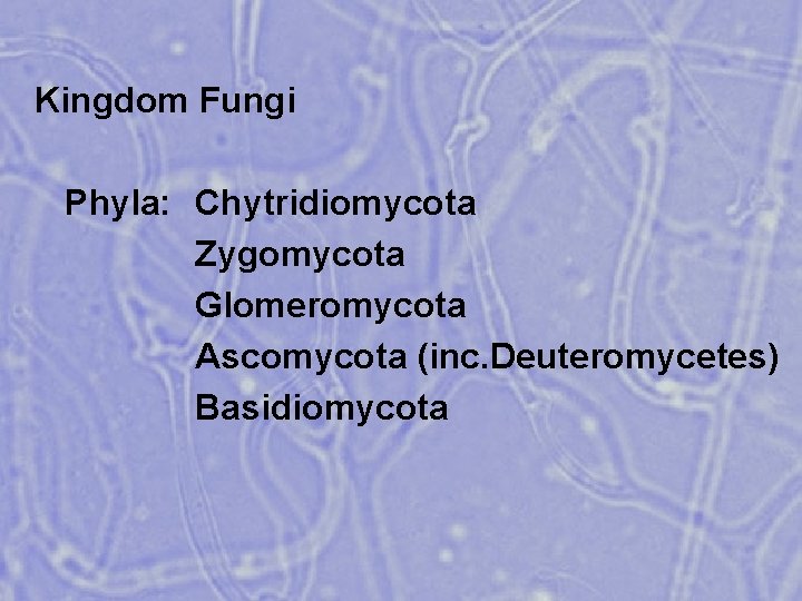 Kingdom Fungi Phyla: Chytridiomycota Zygomycota Glomeromycota Ascomycota (inc. Deuteromycetes) Basidiomycota 