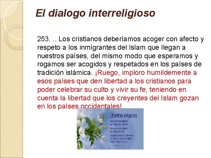 El dialogo interreligioso 253. . . Los cristianos deberíamos acoger con afecto y respeto