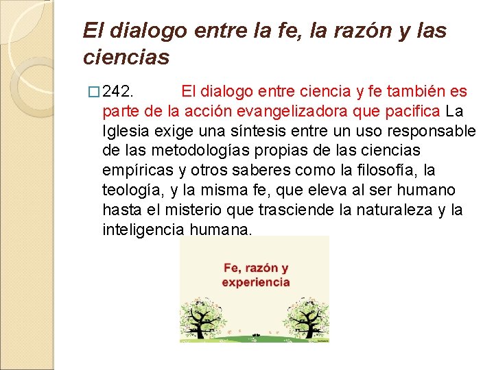 El dialogo entre la fe, la razón y las ciencias � 242. El dialogo