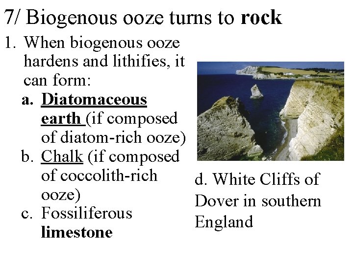 7/ Biogenous ooze turns to rock 1. When biogenous ooze hardens and lithifies, it
