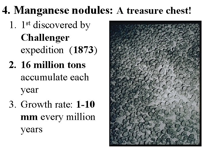 4. Manganese nodules: A treasure chest! 1. 1 st discovered by Challenger expedition (1873)