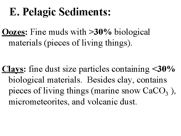 E. Pelagic Sediments: Oozes: Fine muds with >30% biological materials (pieces of living things).