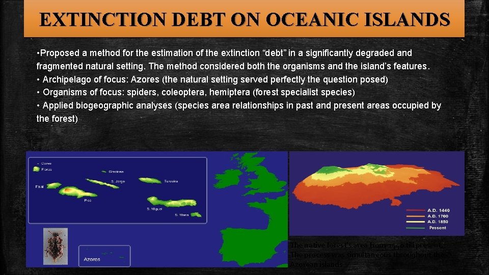 EXTINCTION DEBT ON OCEANIC ISLANDS • Proposed a method for the estimation of the