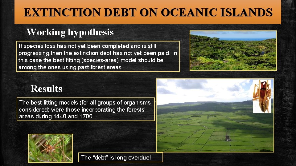 EXTINCTION DEBT ON OCEANIC ISLANDS Working hypothesis If species loss has not yet been