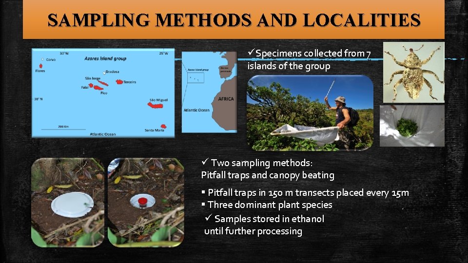 SAMPLING METHODS AND LOCALITIES üSpecimens collected from 7 islands of the group ü Two