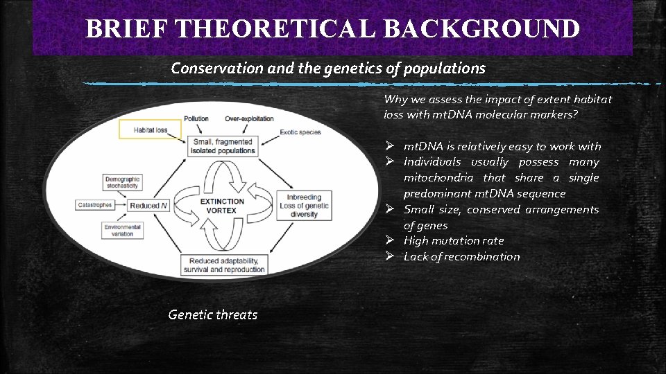 BRIEF THEORETICAL BACKGROUND Conservation and the genetics of populations Why we assess the impact