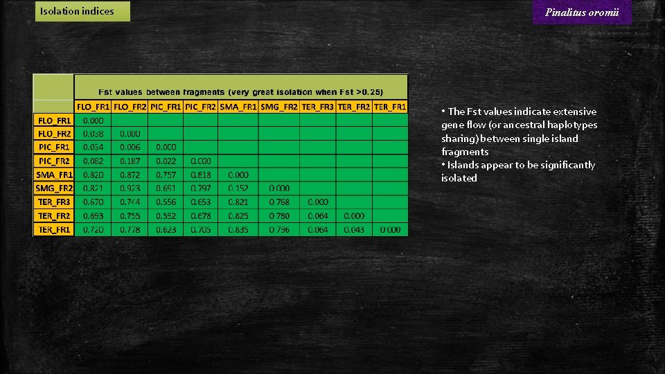 Isolation indices Pinalitus oromii • The Fst values indicate extensive gene flow (or ancestral