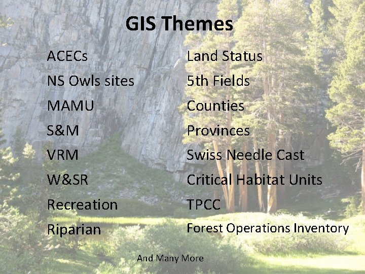 GIS Themes ACECs Land Status NS Owls sites 5 th Fields MAMU Counties S&M GIS Themes ACECs Land Status NS Owls sites 5 th Fields MAMU Counties S&M