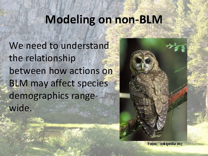 Modeling on non-BLM We need to understand the relationship between how actions on BLM Modeling on non-BLM We need to understand the relationship between how actions on BLM