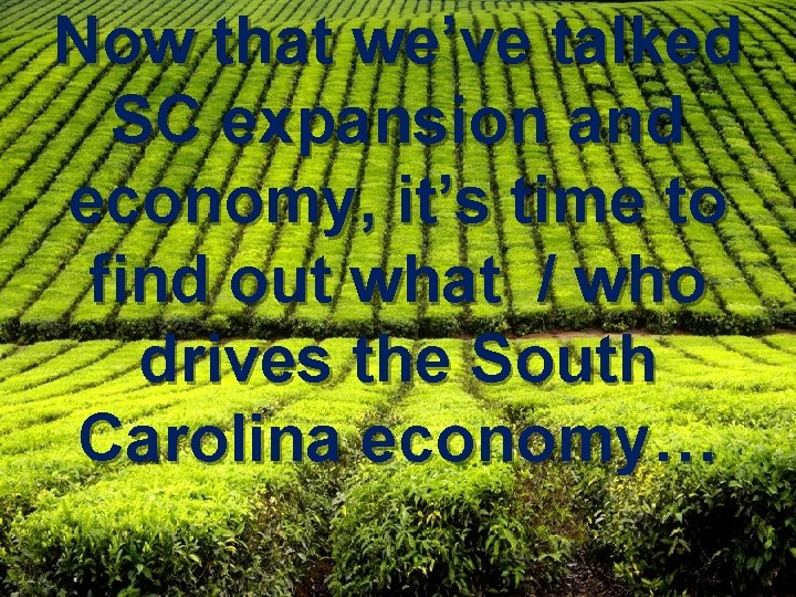 Now that we’ve talked SC expansion and economy, it’s time to find out what