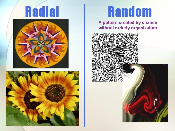 Radial Random A pattern created by chance without orderly organization 