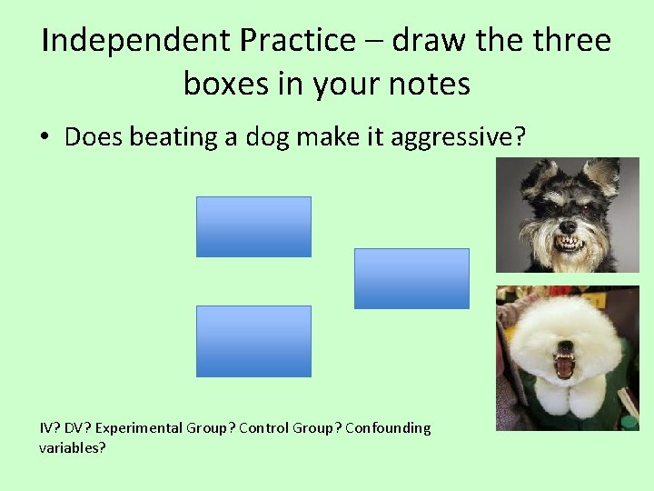 Independent Practice – draw the three boxes in your notes • Does beating a