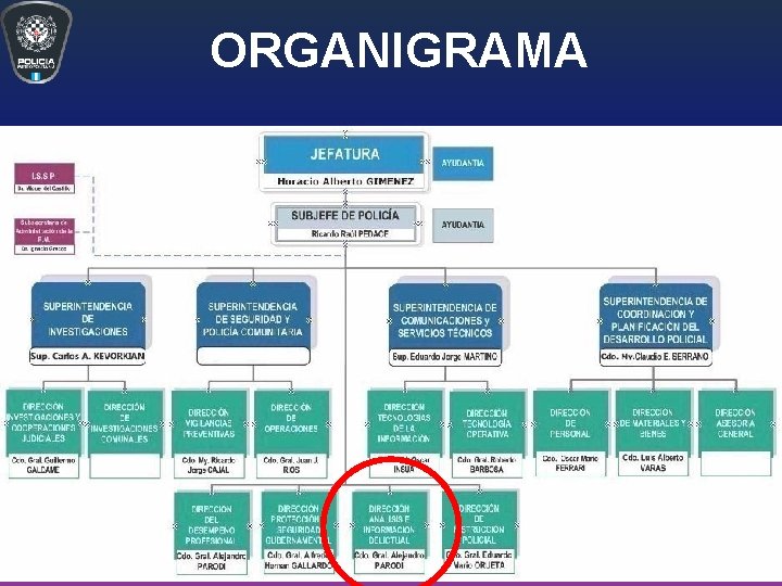 ORGANIGRAMA ORGANIGRAMA