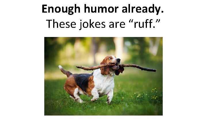 Enough humor already. These jokes are “ruff. ” 