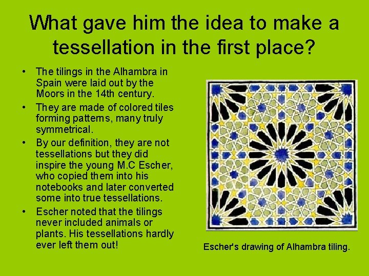 What gave him the idea to make a tessellation in the first place? •