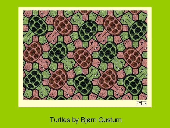 Turtles by Bjørn Gustum 