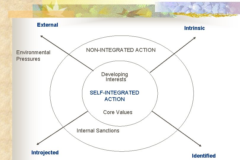 External Environmental Pressures Intrinsic NON-INTEGRATED ACTION Developing Interests SELF-INTEGRATED ACTION Core Values Internal Sanctions