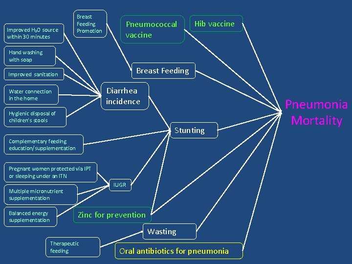 Improved H 2 O source within 30 minutes Breast Feeding Promotion Pneumococcal vaccine Hib